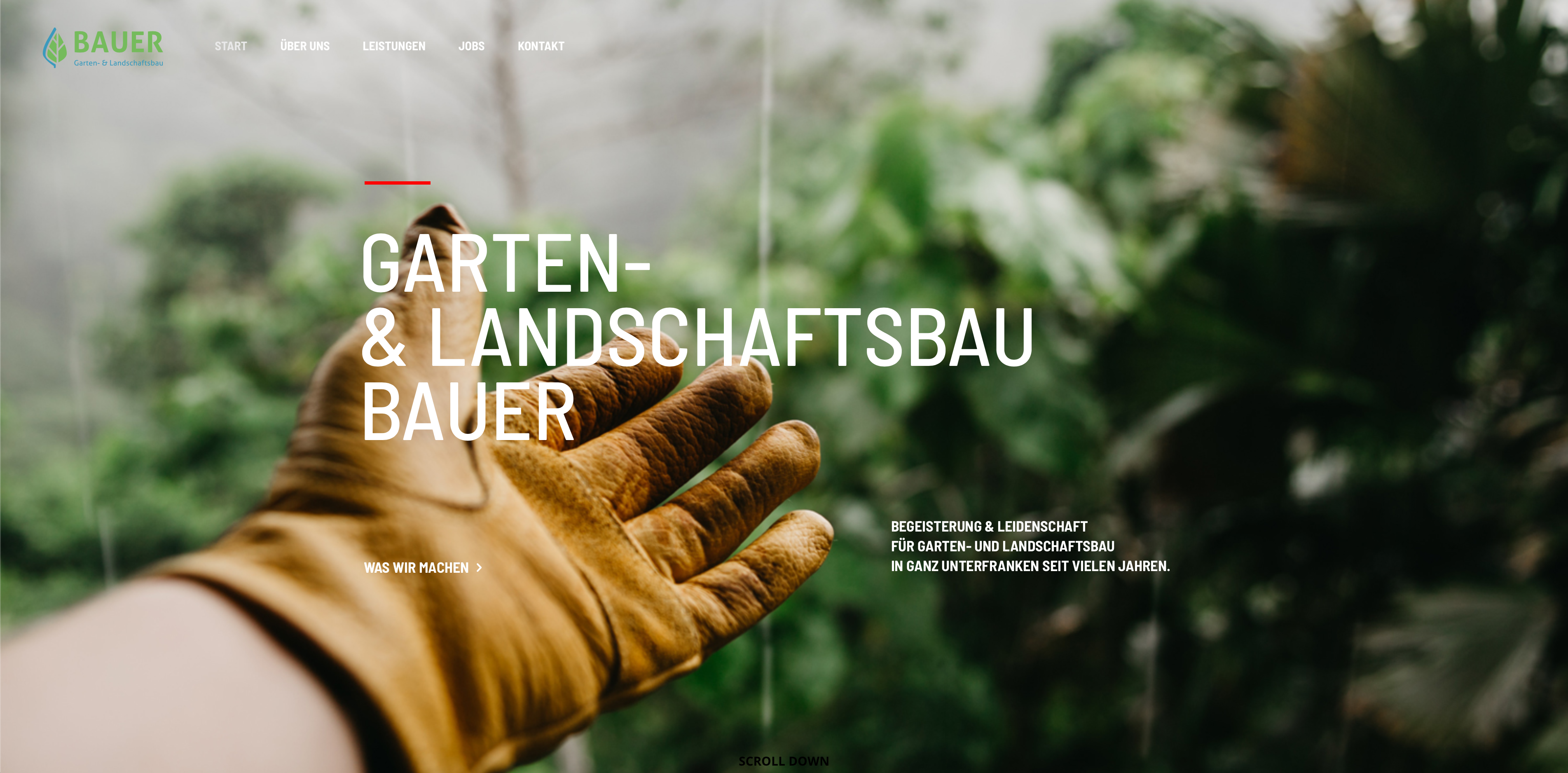 Landschaftsbau Bauer Stadtlauringen Webdesign Ui Ux Experience Webseite